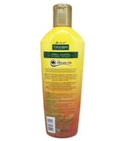 Moringa-O2 Malunggay Herbal Anti-Hairfall Shampoo with Argan Oil 200mL