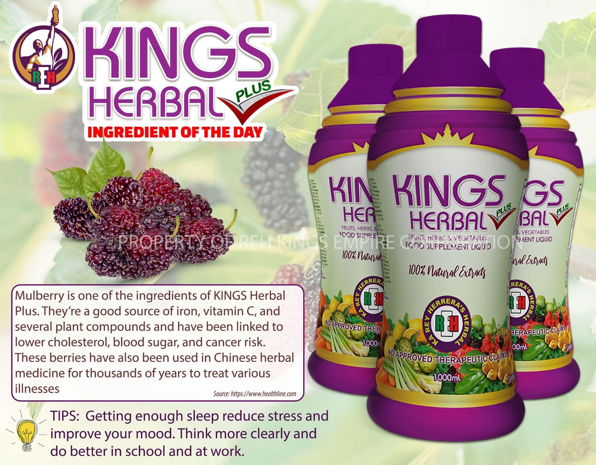 2 Bottles Kings Herbal Plus  Food Supplement Fruits Herbs & Vegetables 1000ml