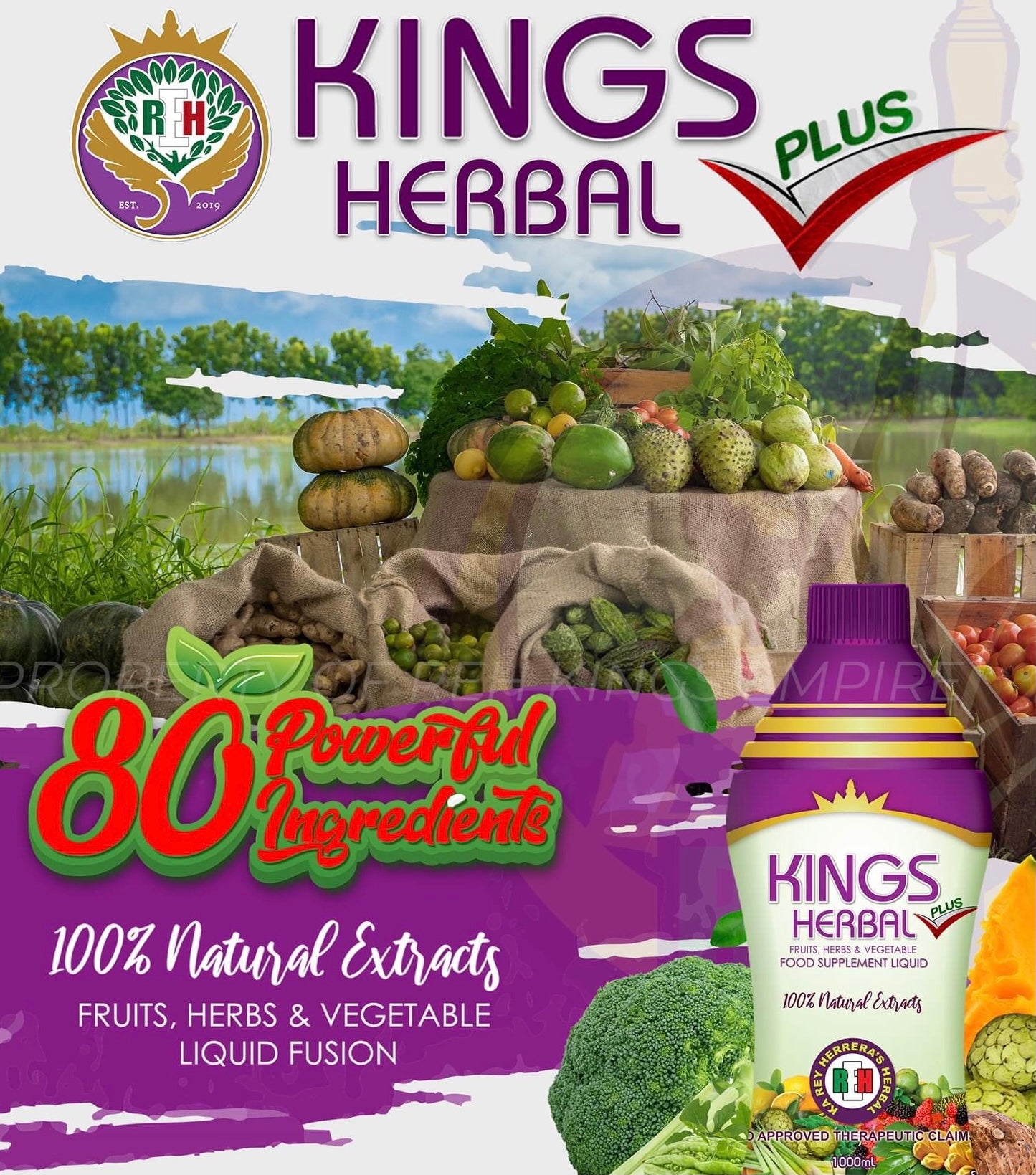 2 Bottles Kings Herbal Plus  Food Supplement Fruits Herbs & Vegetables 1000ml